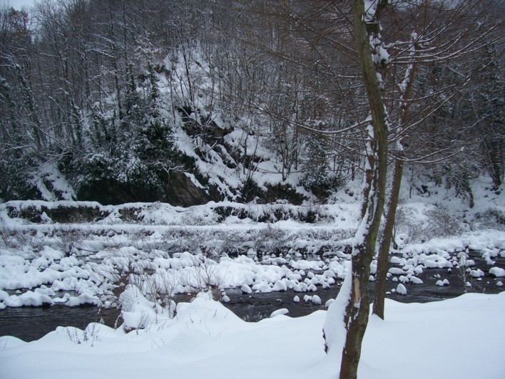  Image name: molino 2008 309.jpg 
 width: 708 pixel 
 height: 532 pixel 
 Size: 148671 bytes 
 Click to enlarge 